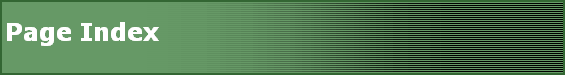 Page Index
